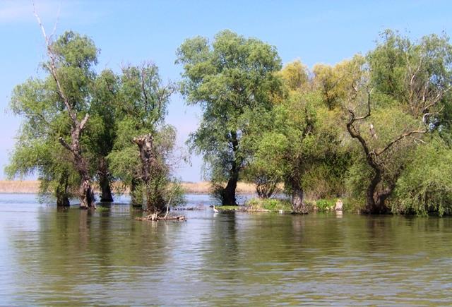 Doar ... NATURA - 3 - mila-23---aprilie-2008-010.jpg